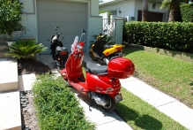 United-States, Florida - copyright by Reineke Otten