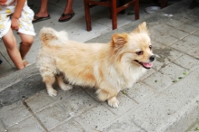 China - copyright by Reineke Otten