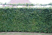 Belgium - copyright by Reineke Otten