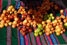 Bolivia - copyright by Reineke Otten