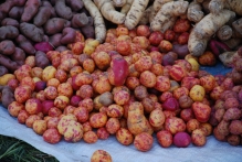 Bolivia - copyright by Reineke Otten