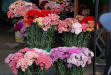 Bolivia - copyright by Reineke Otten