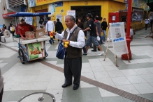 Chile - copyright by Reineke Otten