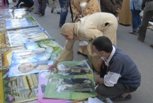 Morocco - copyright by Reineke Otten