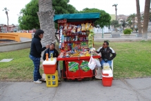 Chile - copyright by Reineke Otten