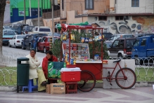 Chile - copyright by Reineke Otten