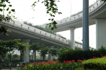 China - copyright by Reineke Otten