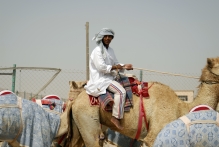 United Arab Emirates - copyright by Reineke Otten