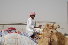 United Arab Emirates - copyright by Reineke Otten