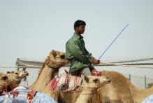 United Arab Emirates - copyright by Reineke Otten