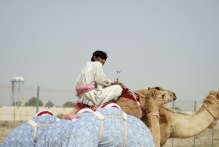 United Arab Emirates - copyright by Reineke Otten