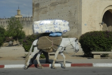 Morocco - copyright by Reineke Otten