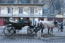Austria - copyright by Reineke Otten
