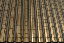 United Arab Emirates - copyright by Reineke Otten