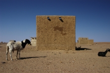 Niger - copyright by Reineke Otten