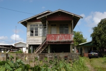 Suriname - copyright by Reineke Otten