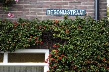 The Netherlands - copyright by Reineke Otten