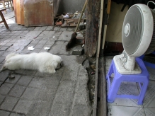 China - copyright by Reineke Otten