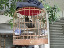 China - copyright by Reineke Otten