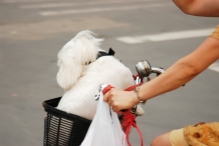China - copyright by Reineke Otten