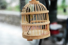 China - copyright by Reineke Otten