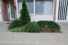 Belgium - copyright by Reineke Otten