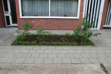 Belgium - copyright by Reineke Otten