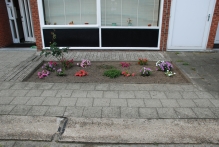 Belgium - copyright by Reineke Otten