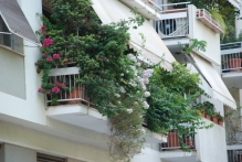 Greece - copyright by Reineke Otten