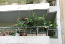 Greece - copyright by Reineke Otten