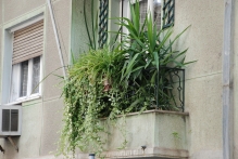 Greece - copyright by Reineke Otten