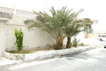 United Arab Emirates - copyright by Reineke Otten