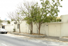 United Arab Emirates - copyright by Reineke Otten