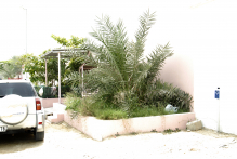 United Arab Emirates - copyright by Reineke Otten