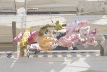 United Arab Emirates - copyright by Reineke Otten