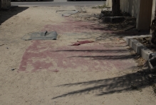 United Arab Emirates - copyright by Reineke Otten