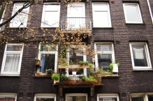 The Netherlands - copyright by Reineke Otten