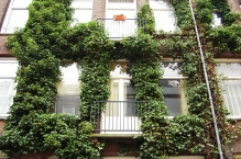 The Netherlands - copyright by Reineke Otten