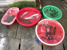 China - copyright by Reineke Otten