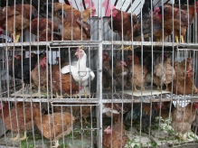 China - copyright by Reineke Otten