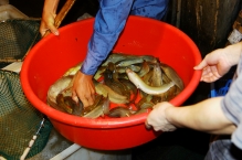 China - copyright by Reineke Otten