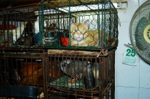 China - copyright by Reineke Otten