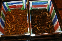 China - copyright by Reineke Otten