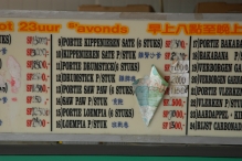 Suriname - copyright by Reineke Otten