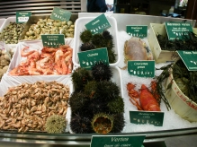 France - copyright by Reineke Otten