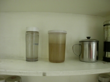 China - copyright by Reineke Otten