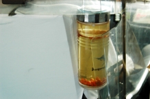 China - copyright by Reineke Otten