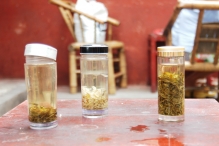 China - copyright by Reineke Otten