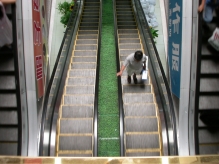 China - copyright by Reineke Otten