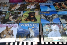 Belgium - copyright by Reineke Otten